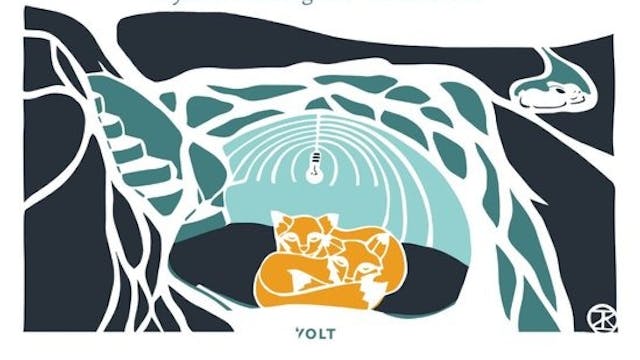 Kleine vos en de stille wereld