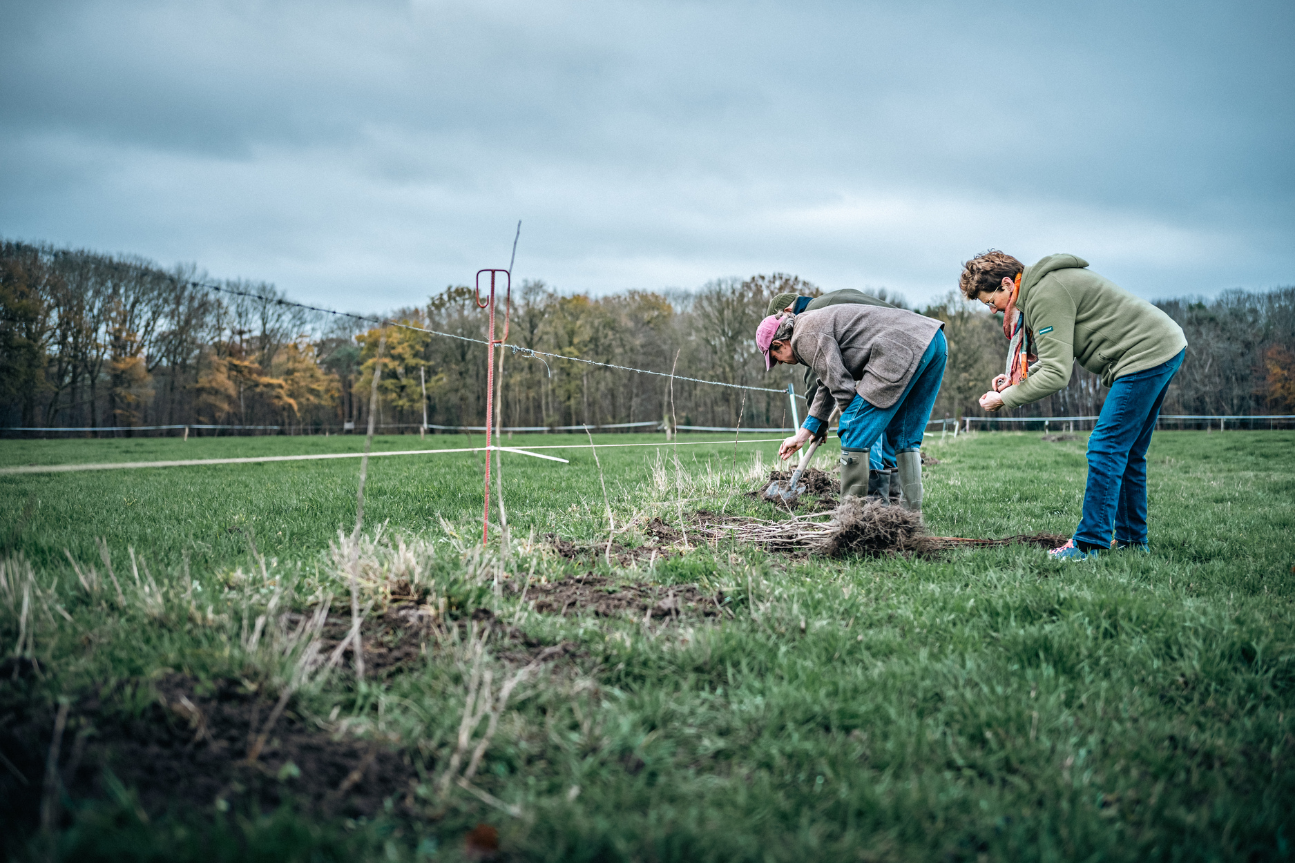 Aanplant kleine landschapselementen Malle