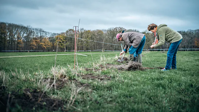 Aanplant kleine landschapselementen Malle