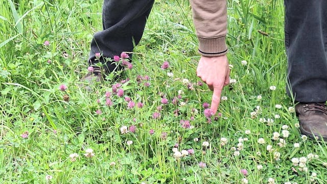 Plantenontdekkingstocht Jelle