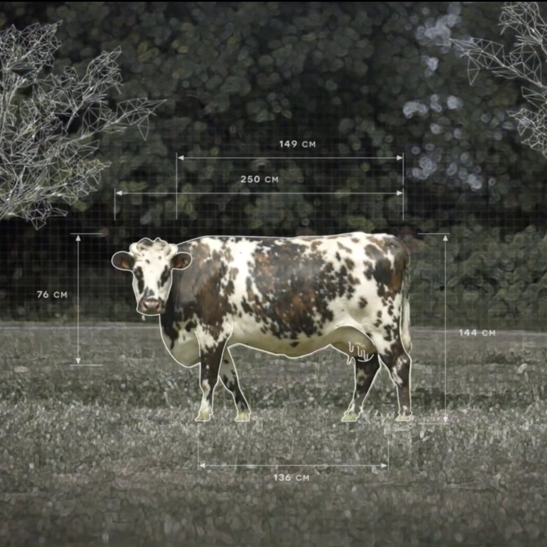 L'usine des animaux · Festival Alimenterre @ Anderlecht