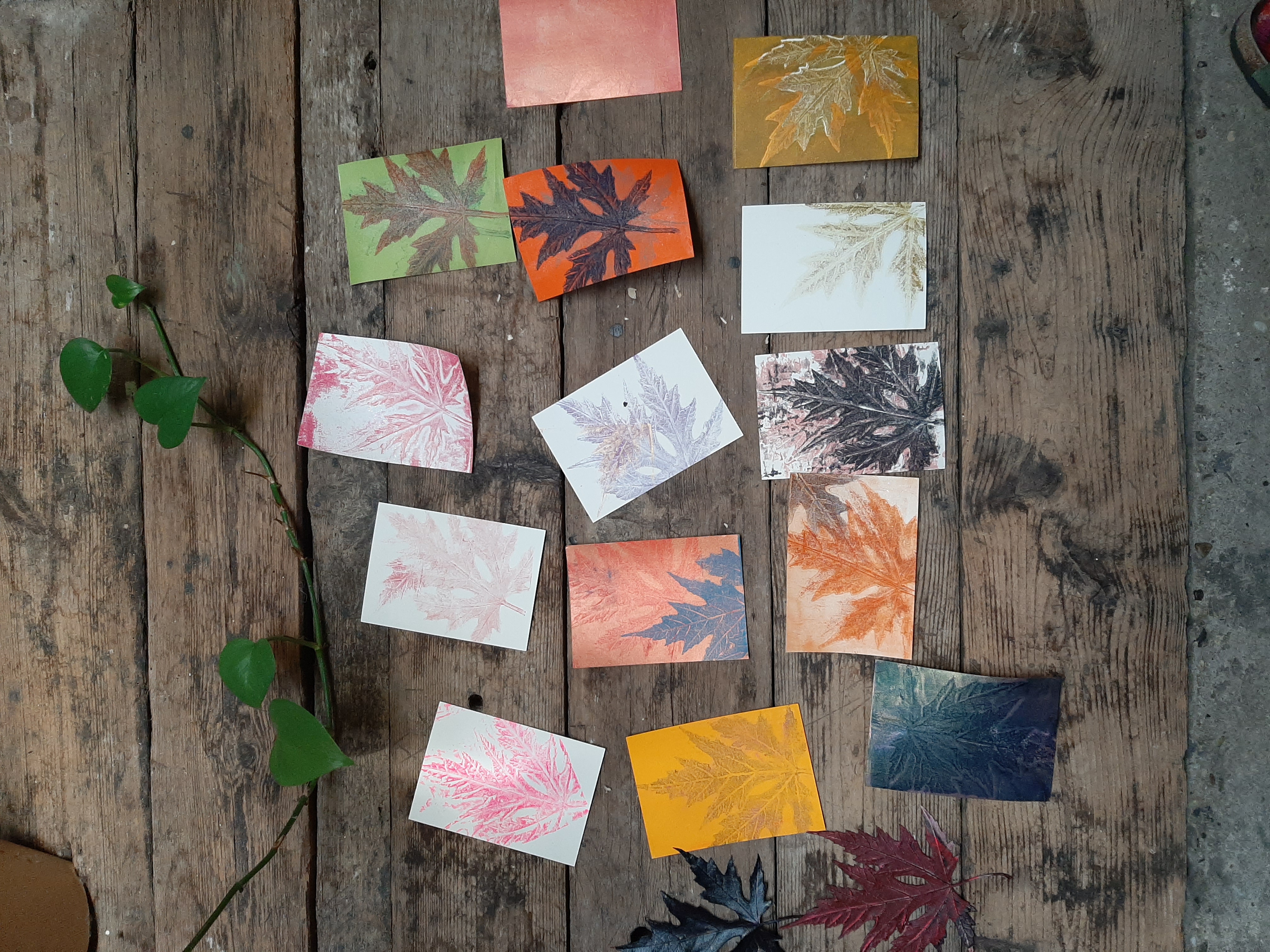 Botanisch printen met de gelli plate
