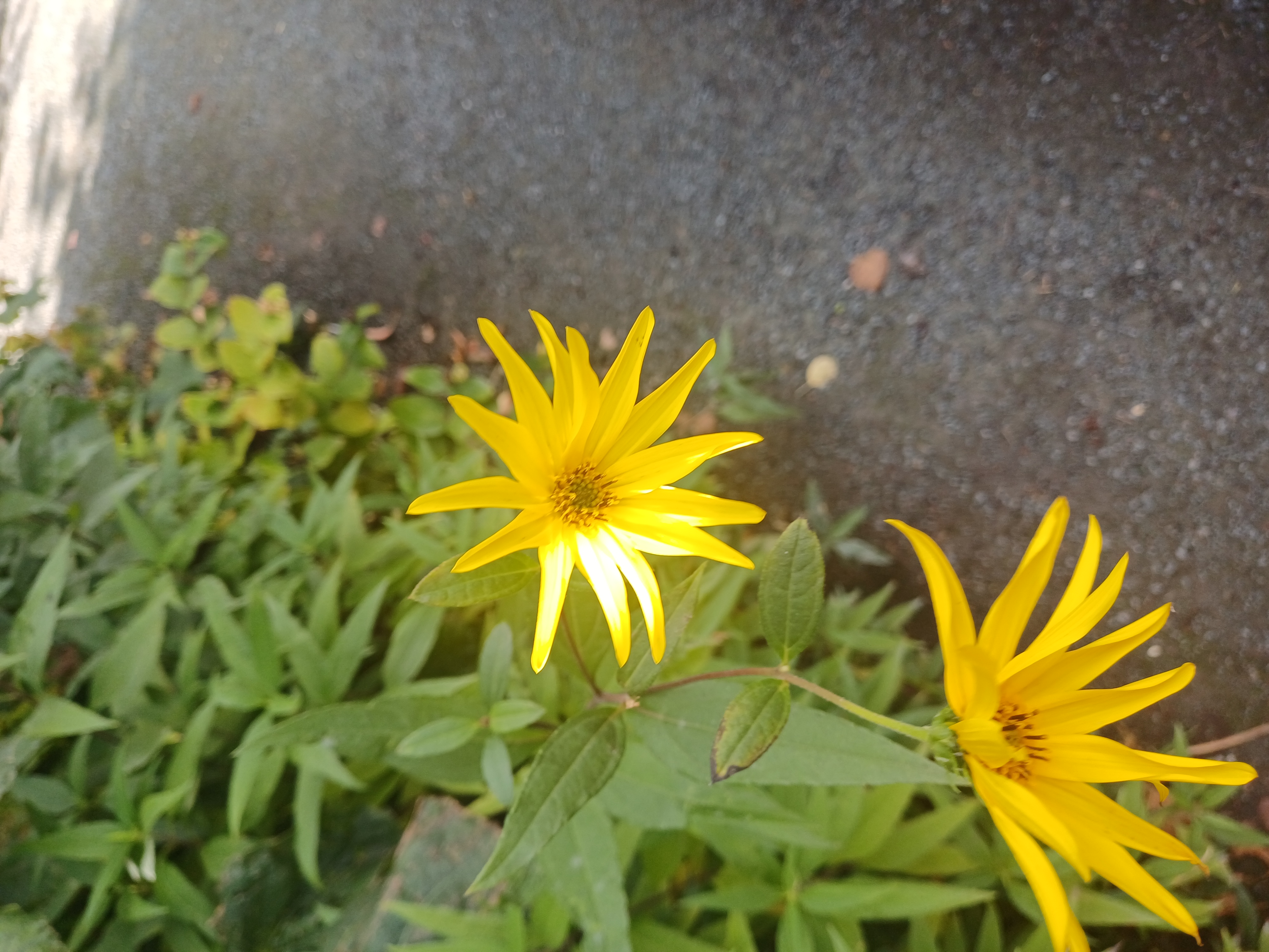 Van Trois-Ponts naar Coo