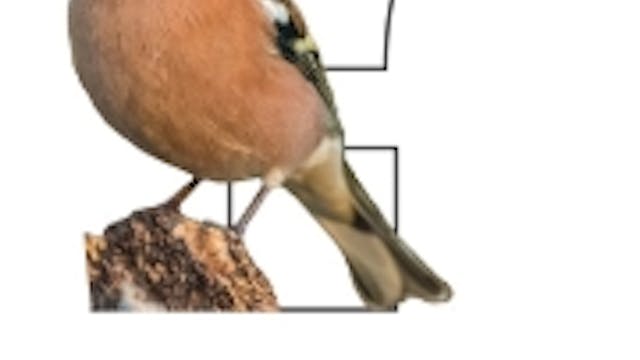 Verdwijning van mr. Vink