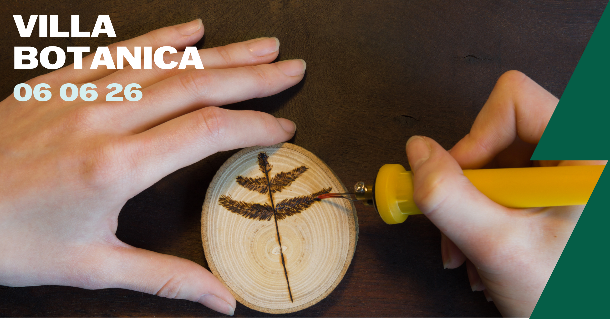 ontdek de kunst van de pyrografie