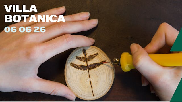 ontdek de kunst van de pyrografie