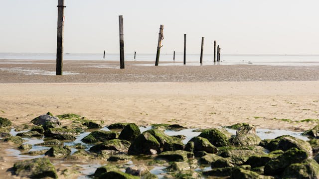 GEMEENTEBESTUUR KNOKKE-HEIST