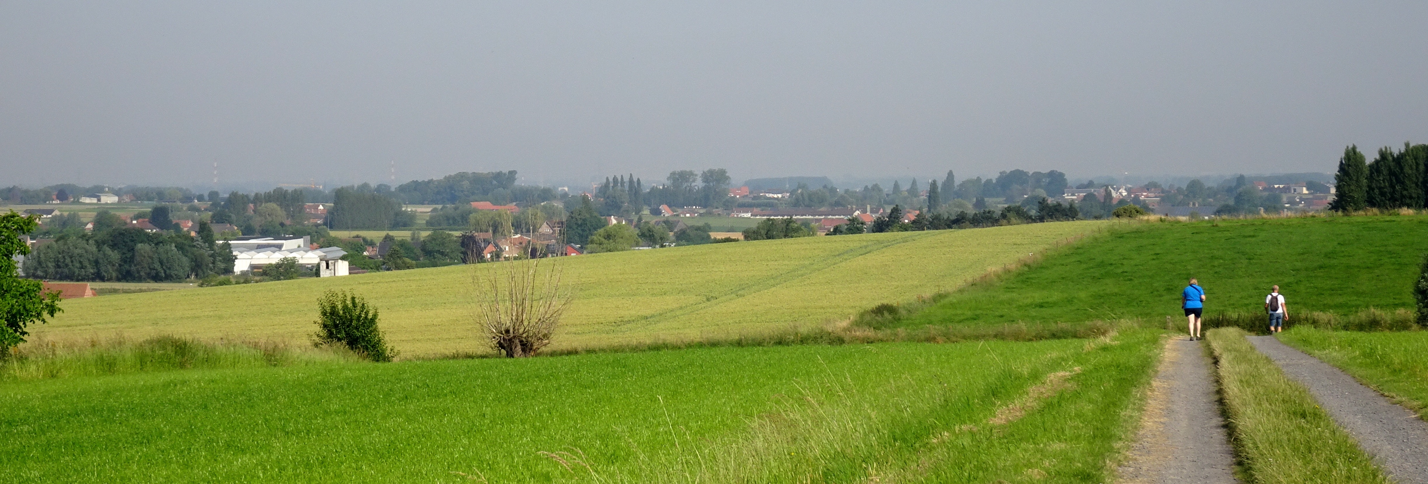 Panorama