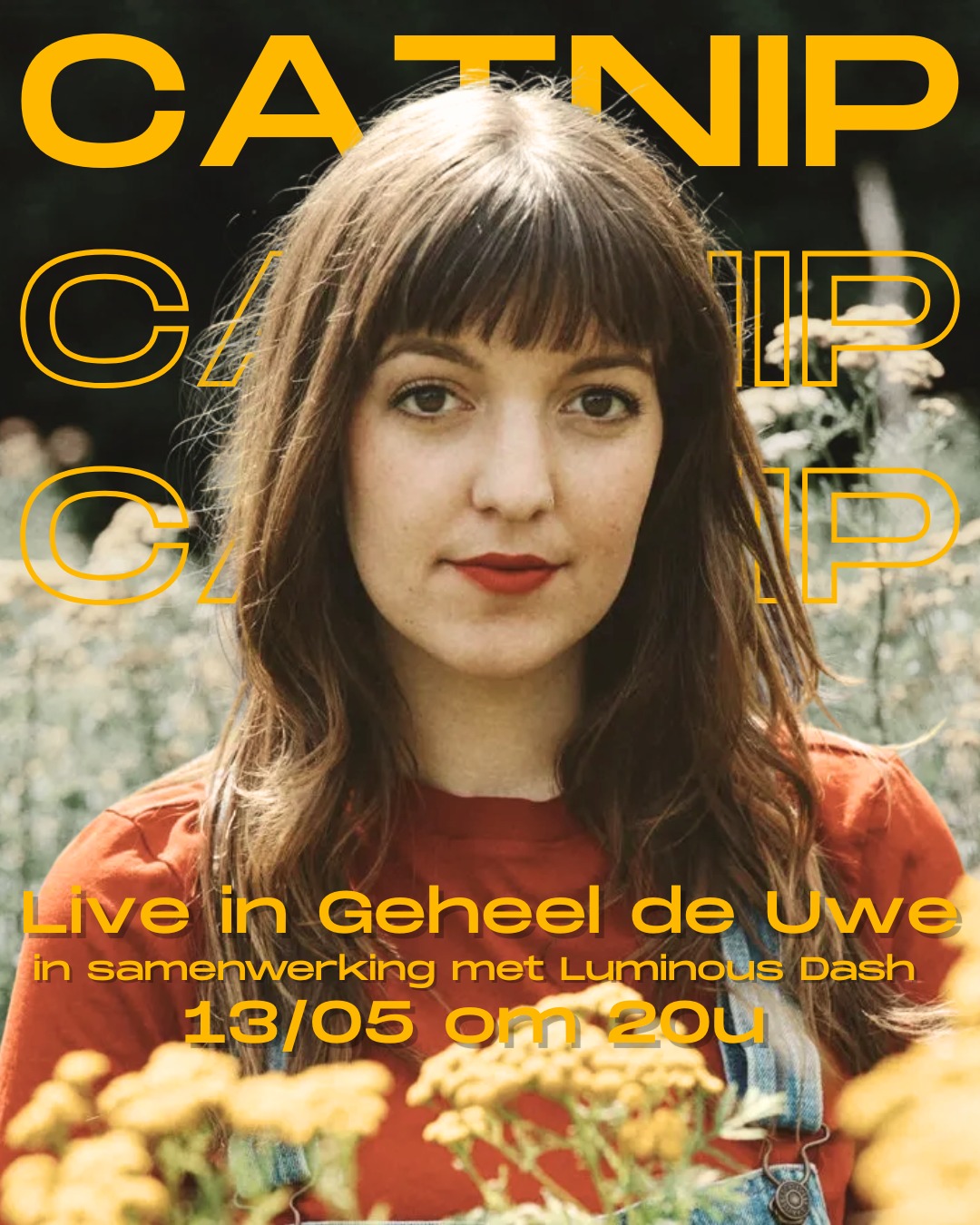 Catnip in GDU