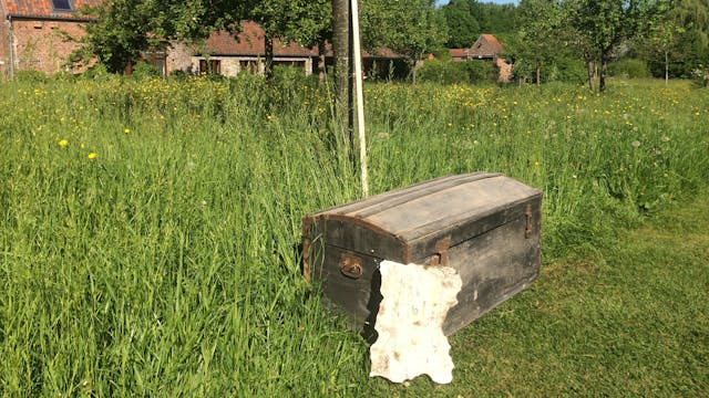 Schatten van Vlieg op De Kaaihoeve