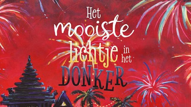 Het mooiste lichtje in het donker