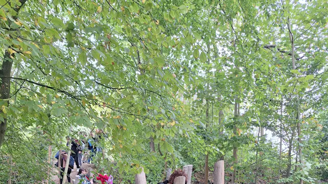 Bouwkamp - Pasen (VOLZET)