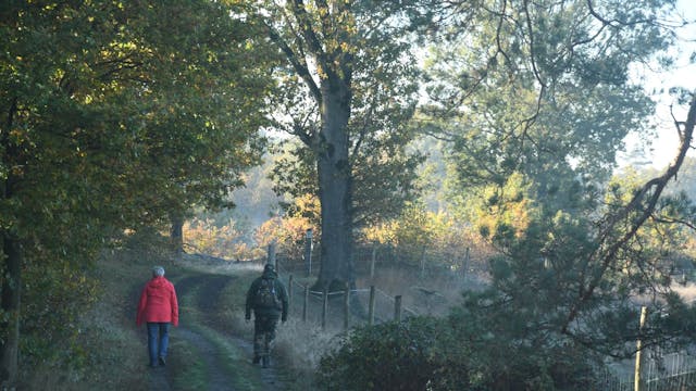 Tielenheide