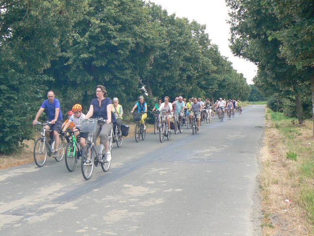 Image for gzbd activity