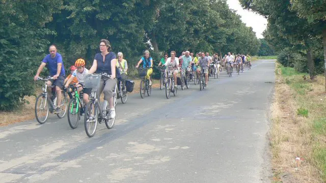 Image for gzbd activity