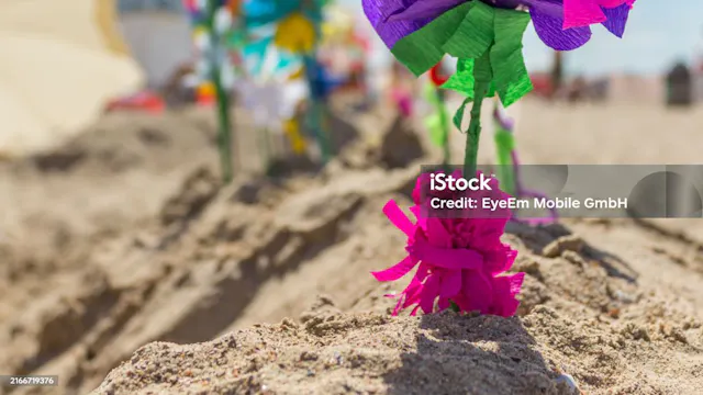 Image for gzbd activity