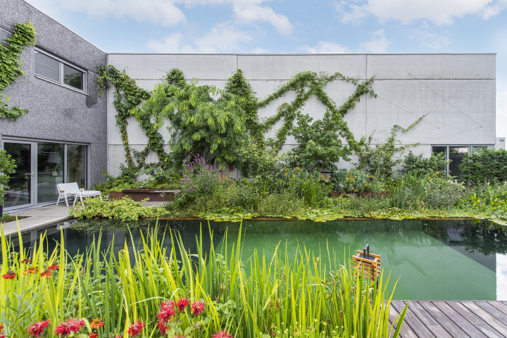 Hoeveniersgebroeders