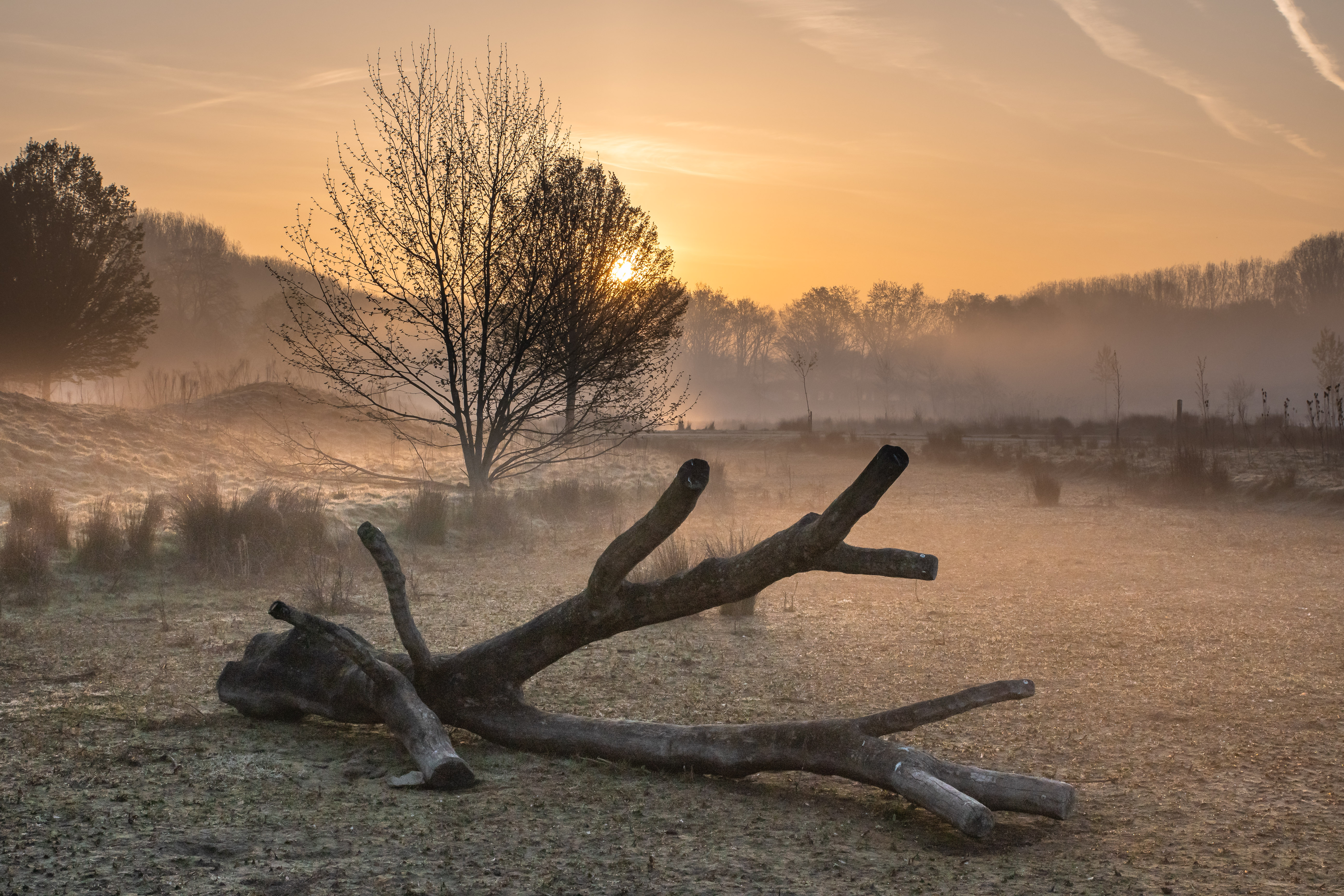 thema fototentoonstelling