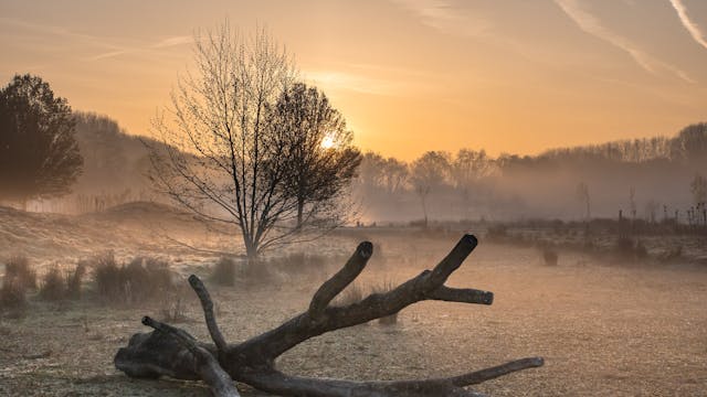 thema fototentoonstelling