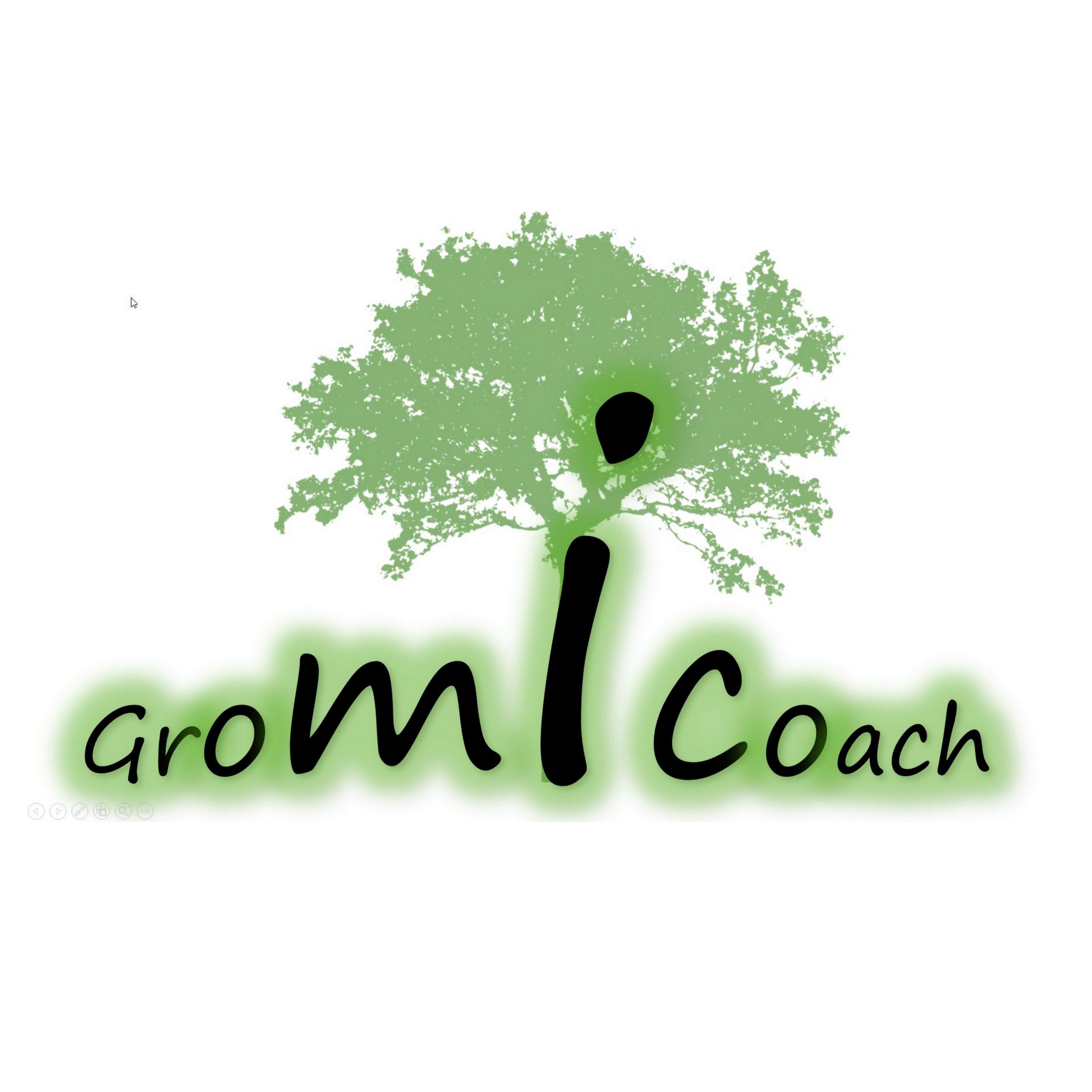 Gromicoach Expertisecentrum Hoogbegaafdheid