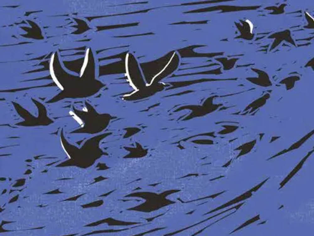 boekcover 'Archief van mogelijk verlies'