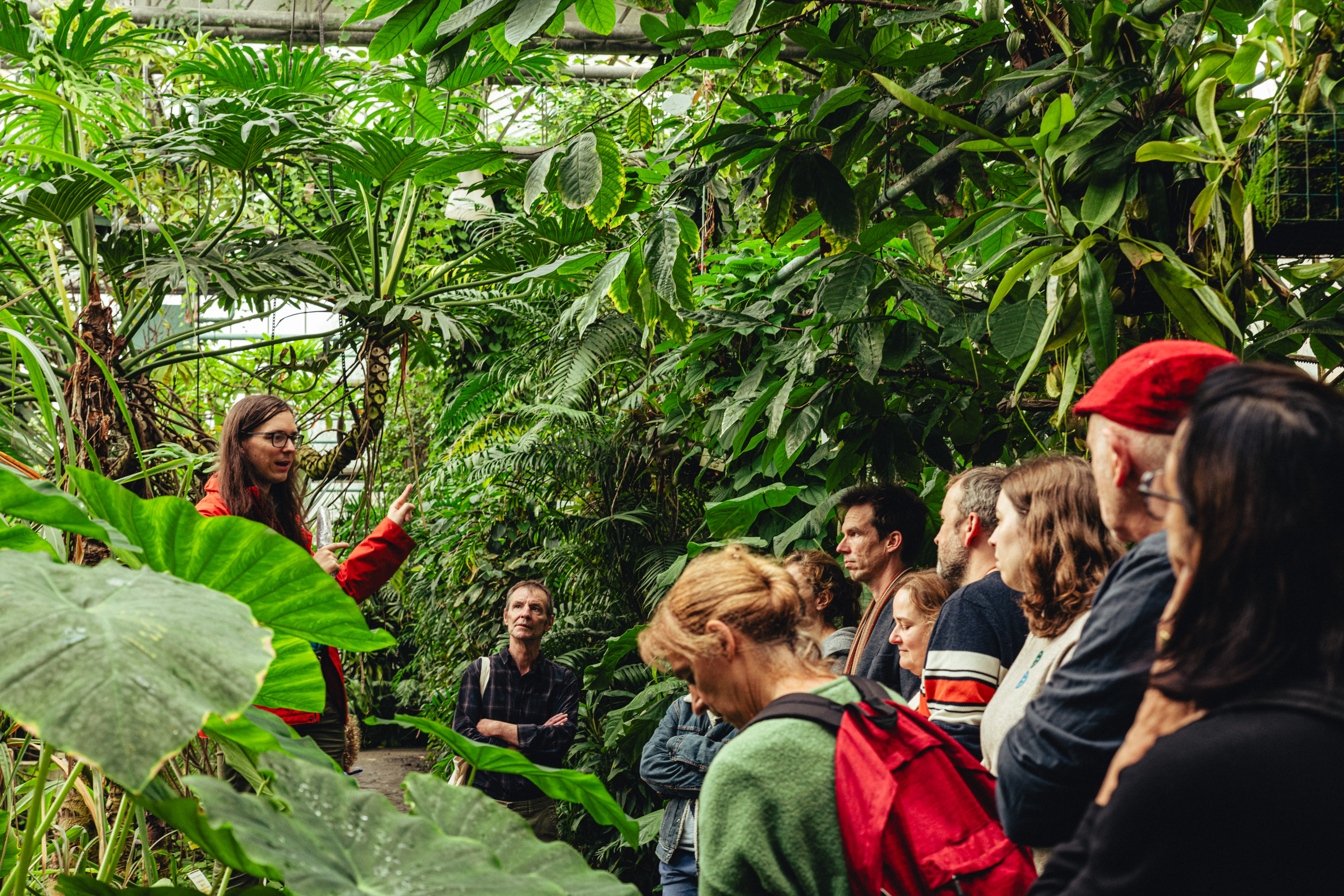 Rondleiding in Plantentuin