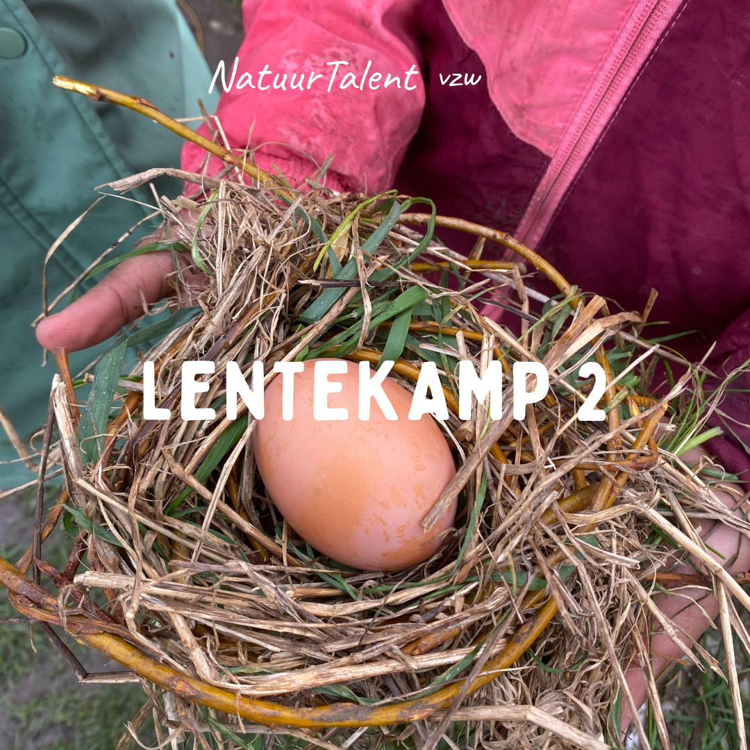 LENTE KAMP (insta post) (3).png