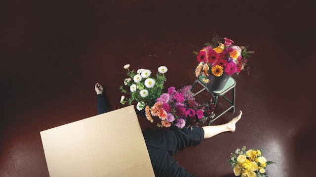 Finale (6+) - compagnie barbarie / BRONKS