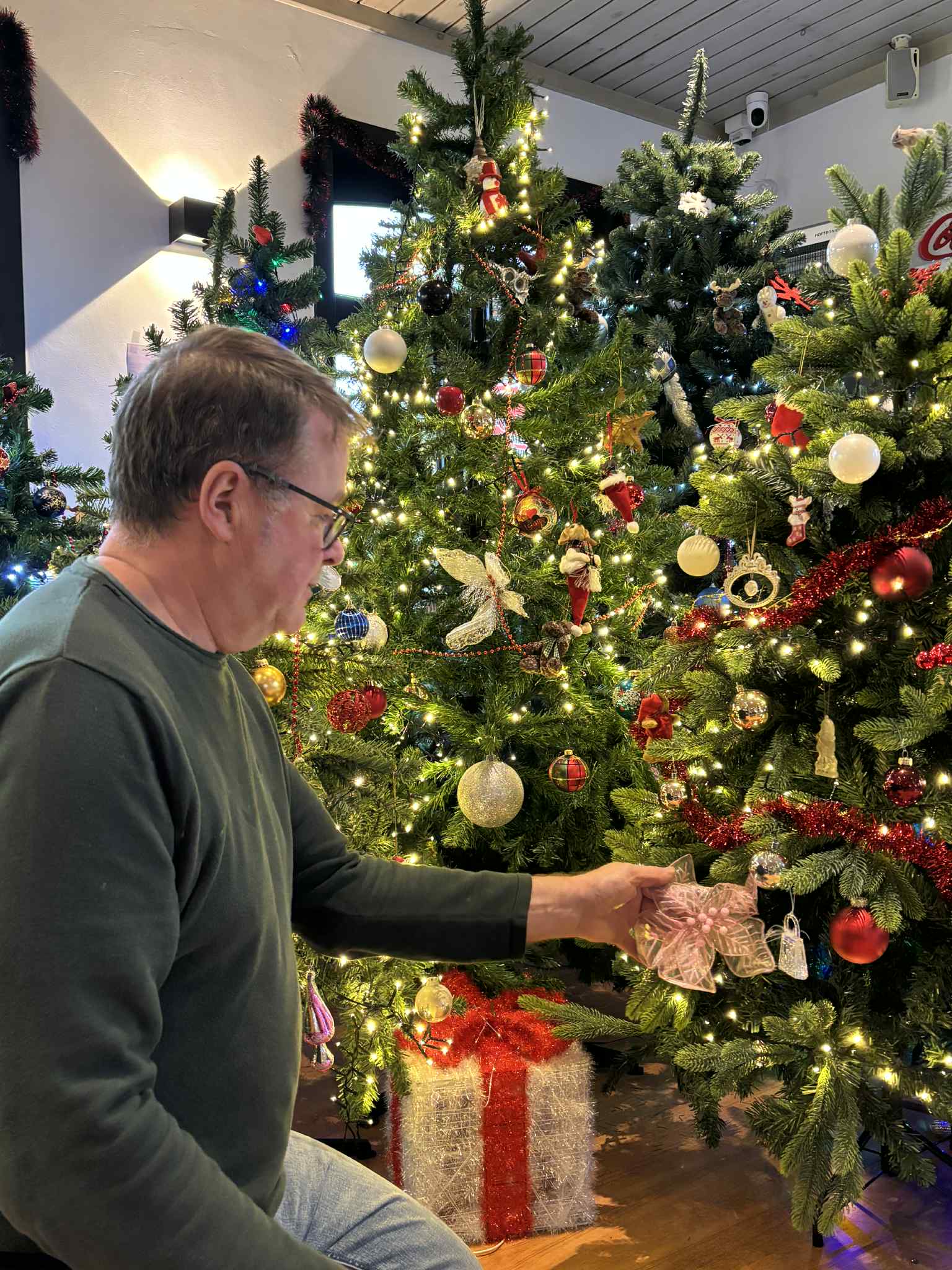 Luc in het Kerstboombos