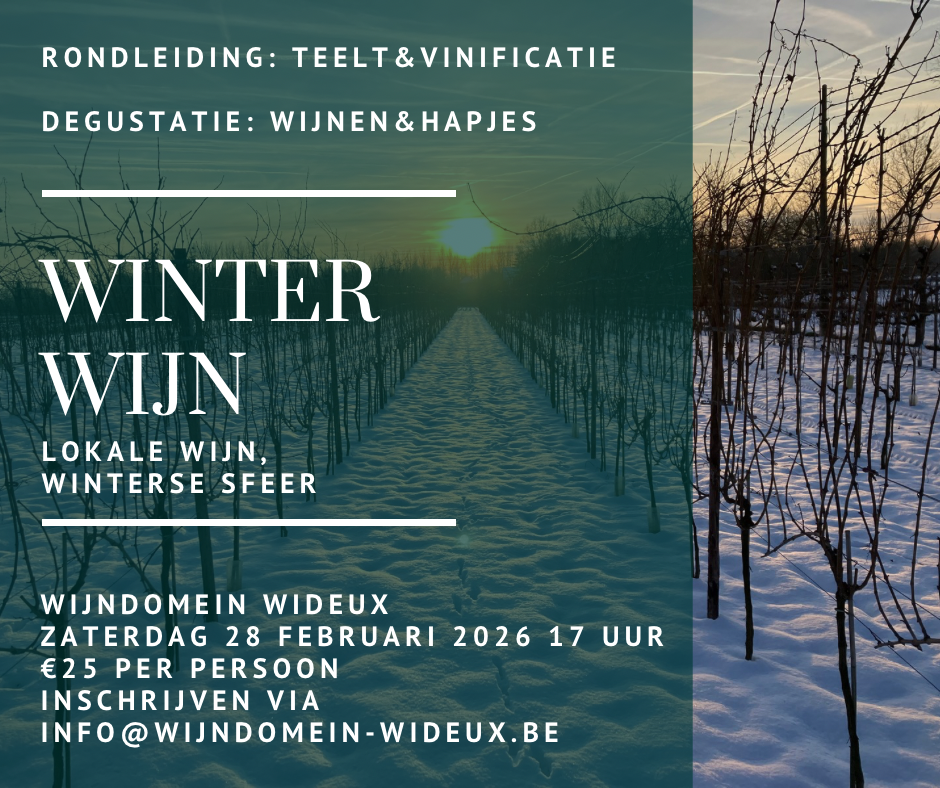 winterwijn