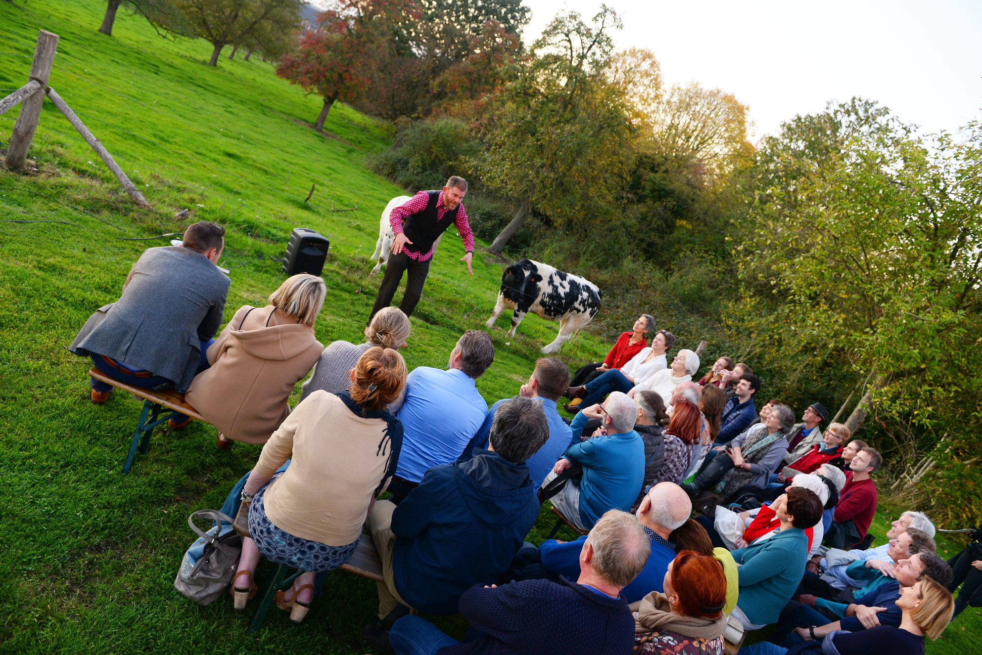 Verhalen in het Park
