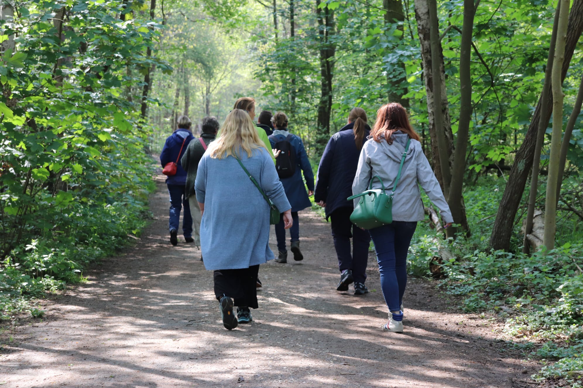 Wandeling Rap op Stap Kalmthout