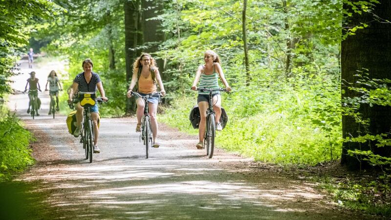 Image for gzbd activity