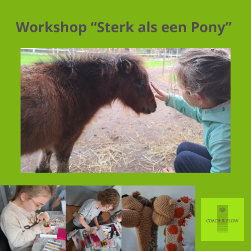 Knutsel en speelnamiddagen