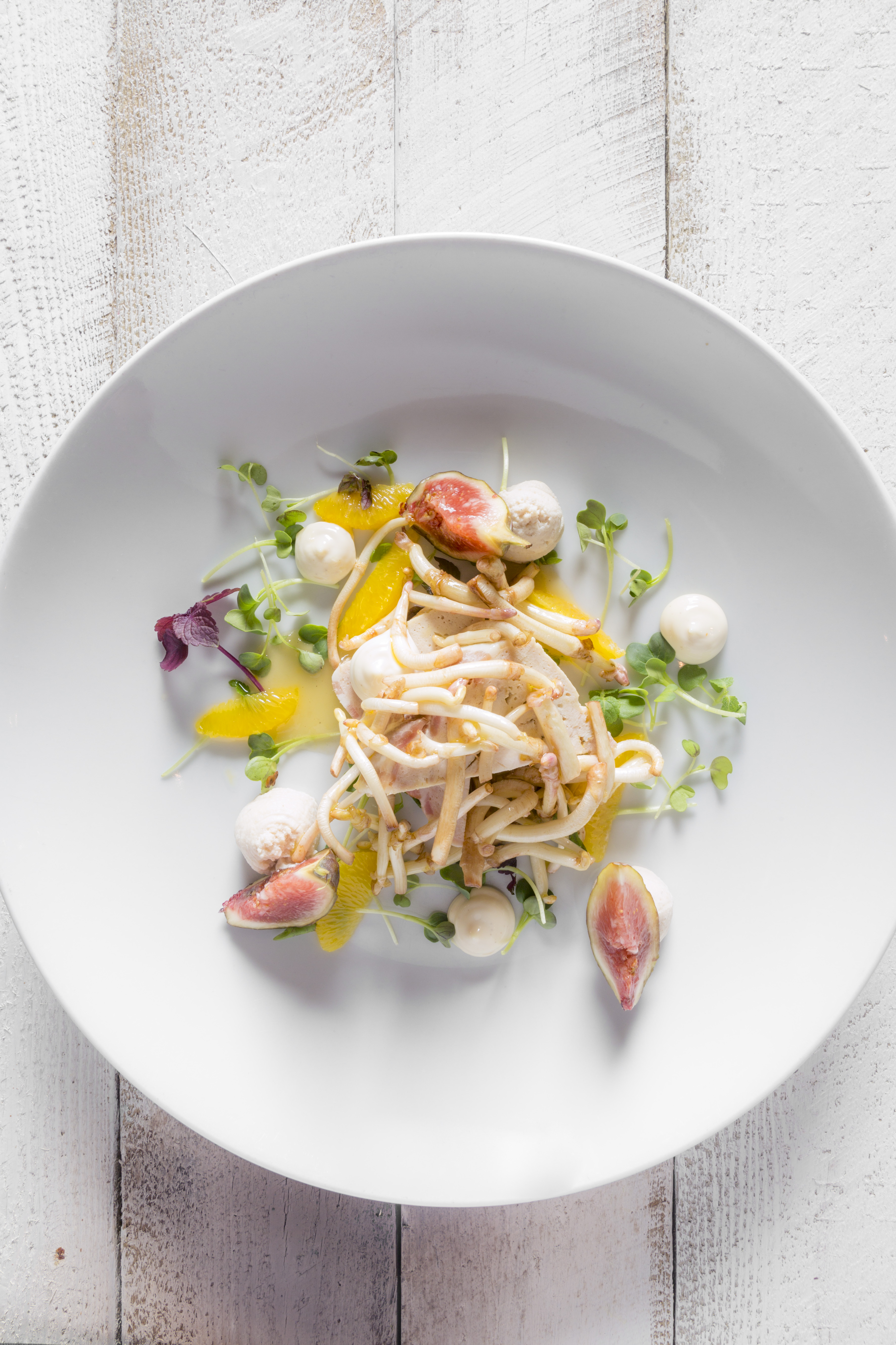 Maand van de hopscheuten