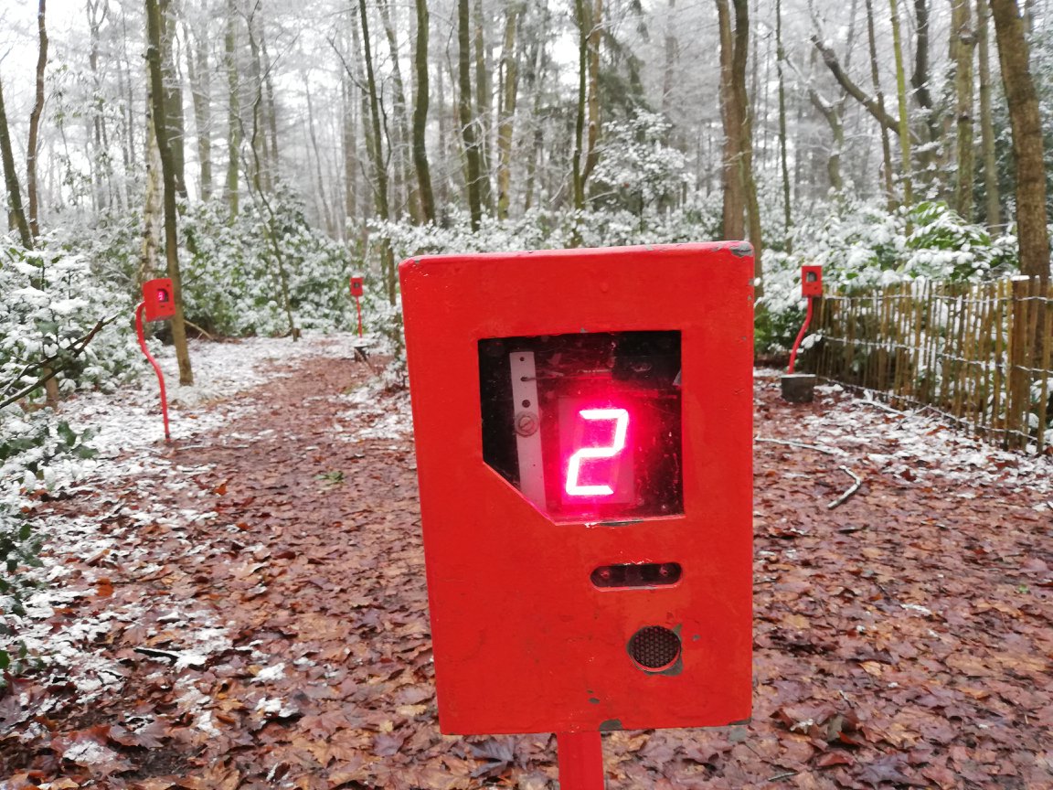 KLANKENBOS IN WINTERSLAAP