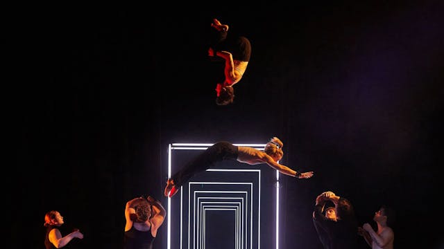 The Mirror - Gravity & Other Myths