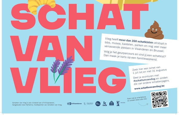 Schatten van Vlieg