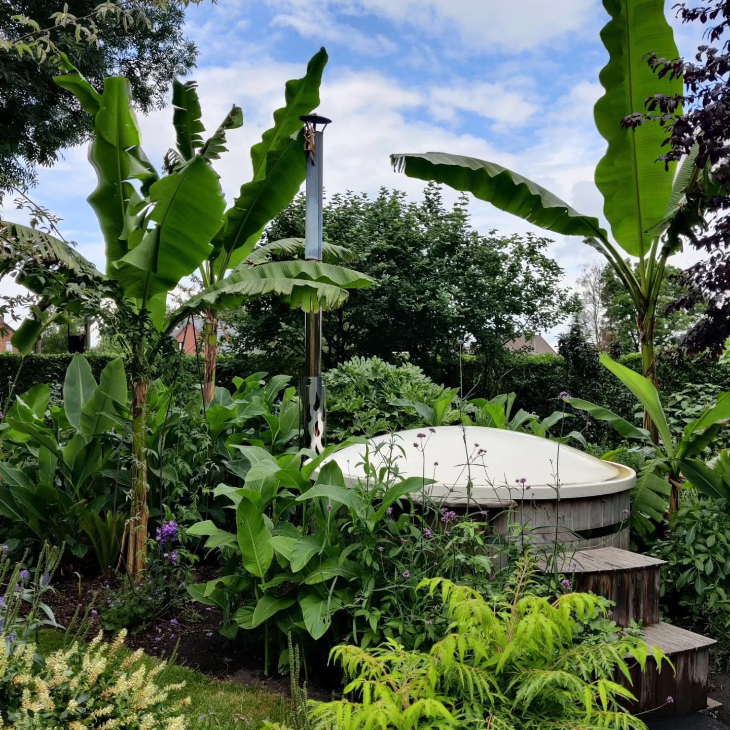 Hottub in de jungleborder
