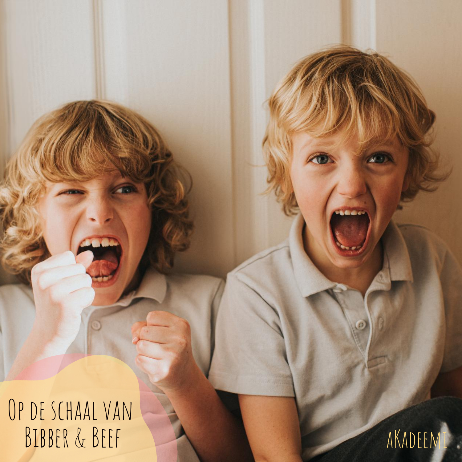 Op schaal van Bibber en Beef