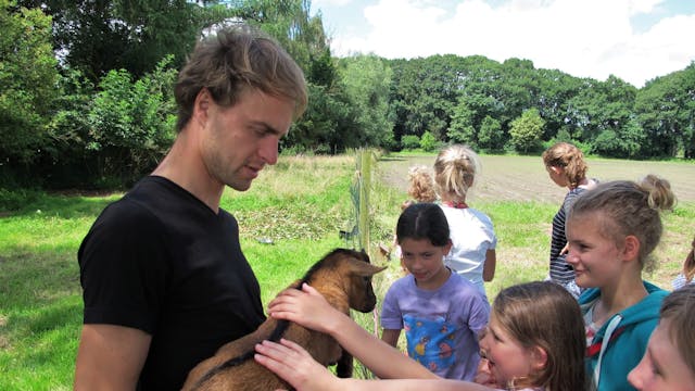 Geitjes, pony, konijntjes...