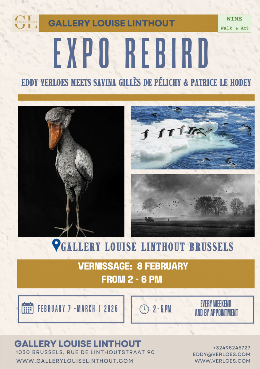 Expo Rebird