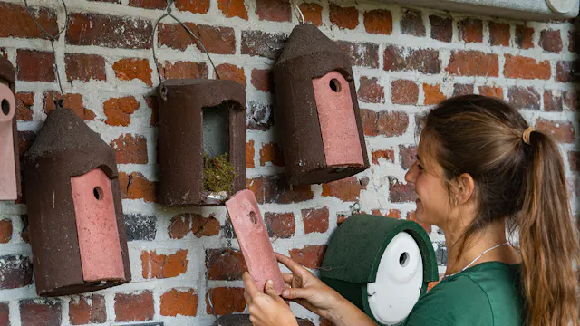 Infosessie: Kies de juiste nestkast voor jouw tuin