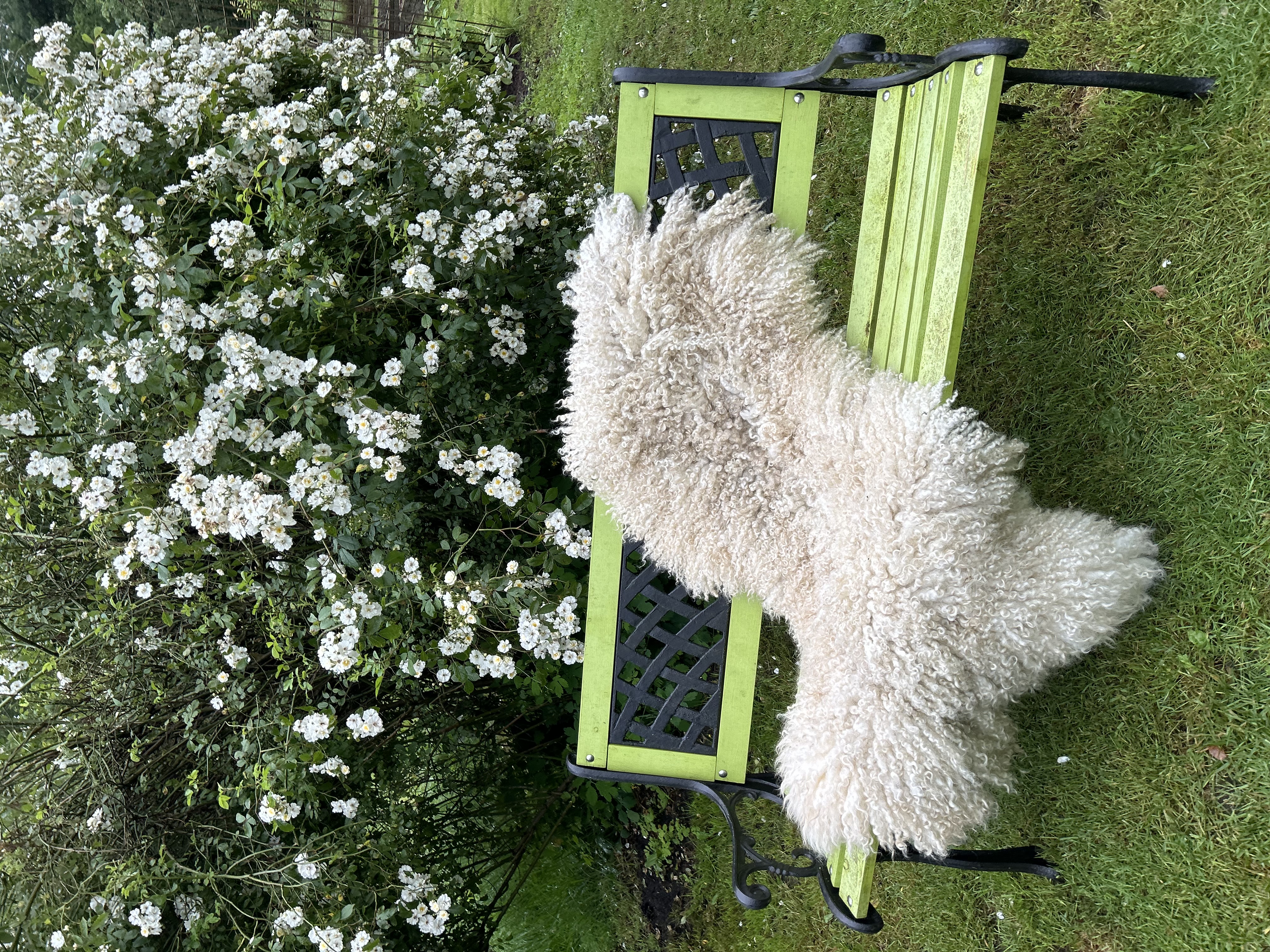 Workshop Vachtvilten 