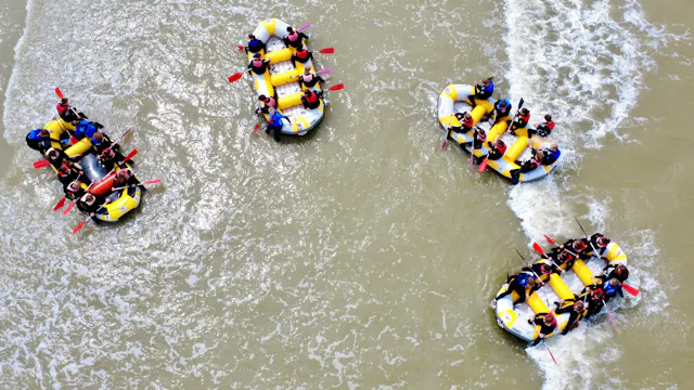 Zeeraften in De Panne