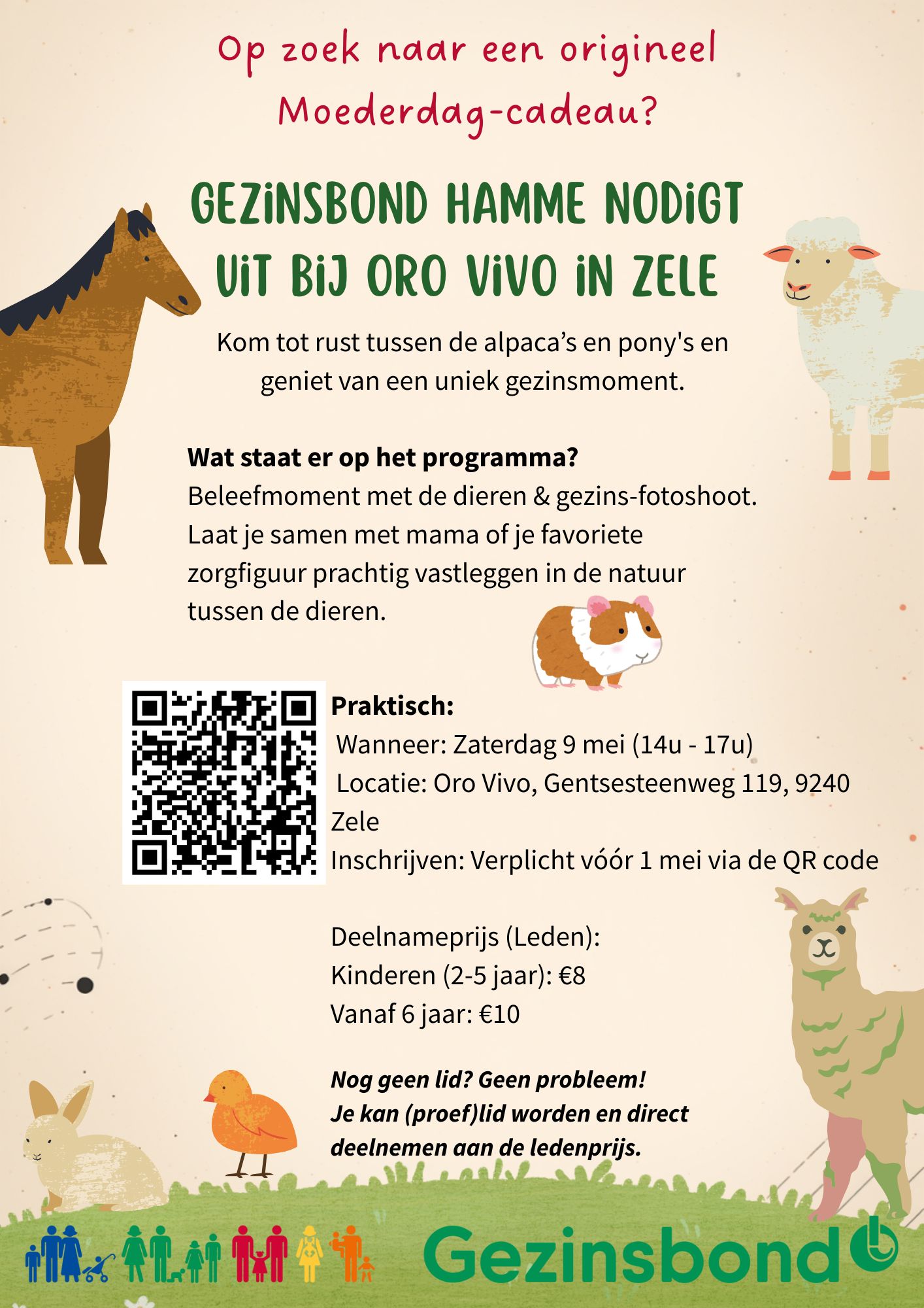 Image for gzbd activity