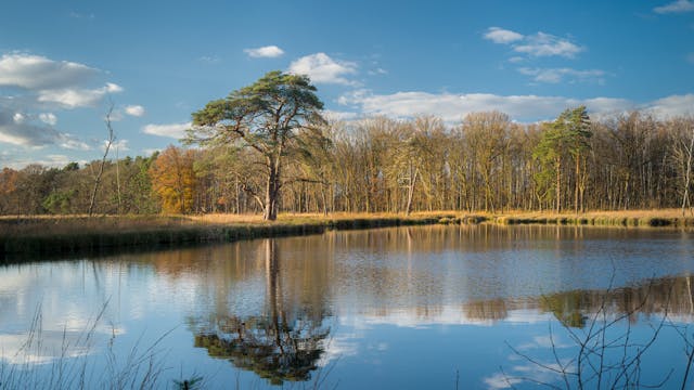 Roelerheide - Roelerbeek Zutendaal