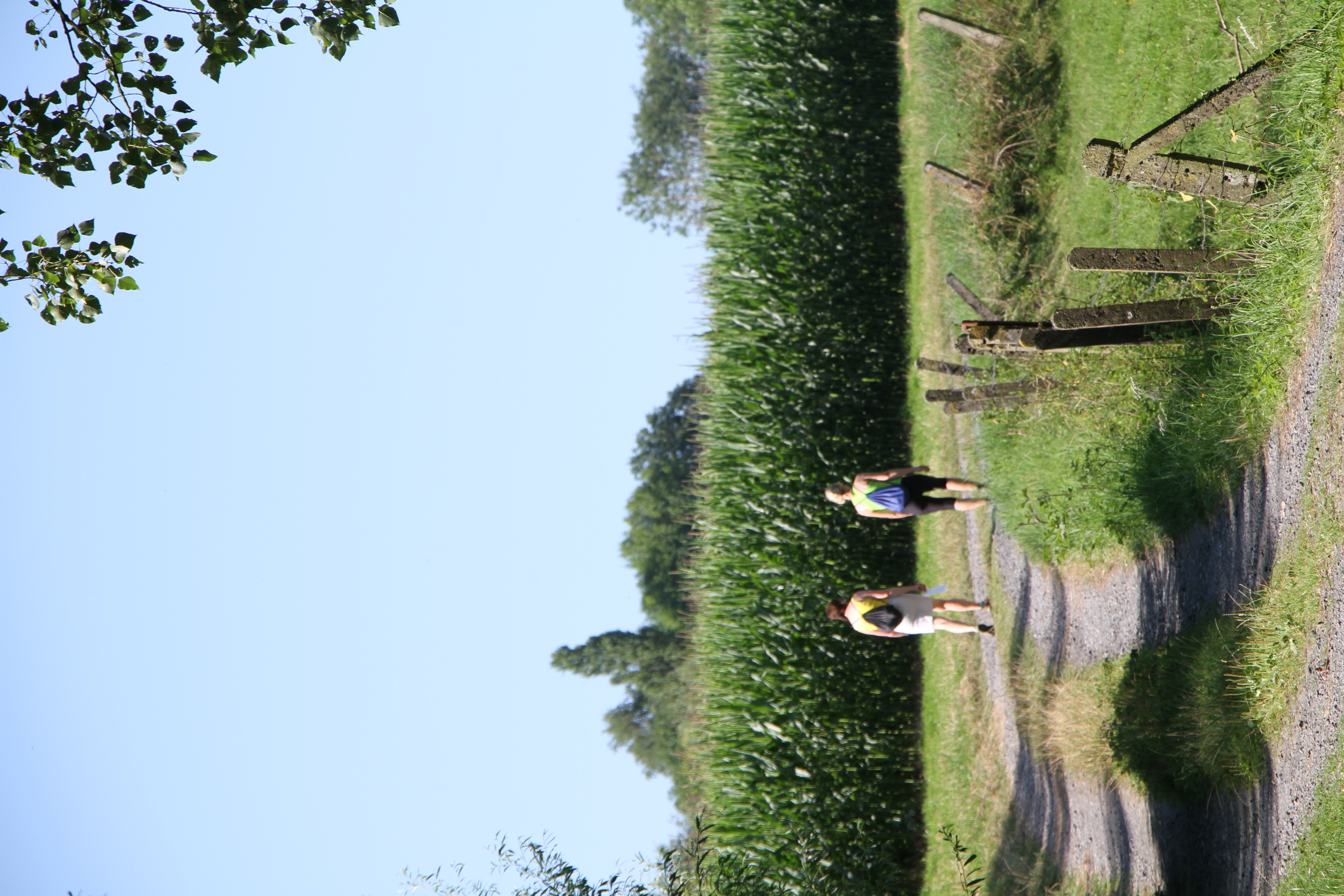 Langs panoramische paden