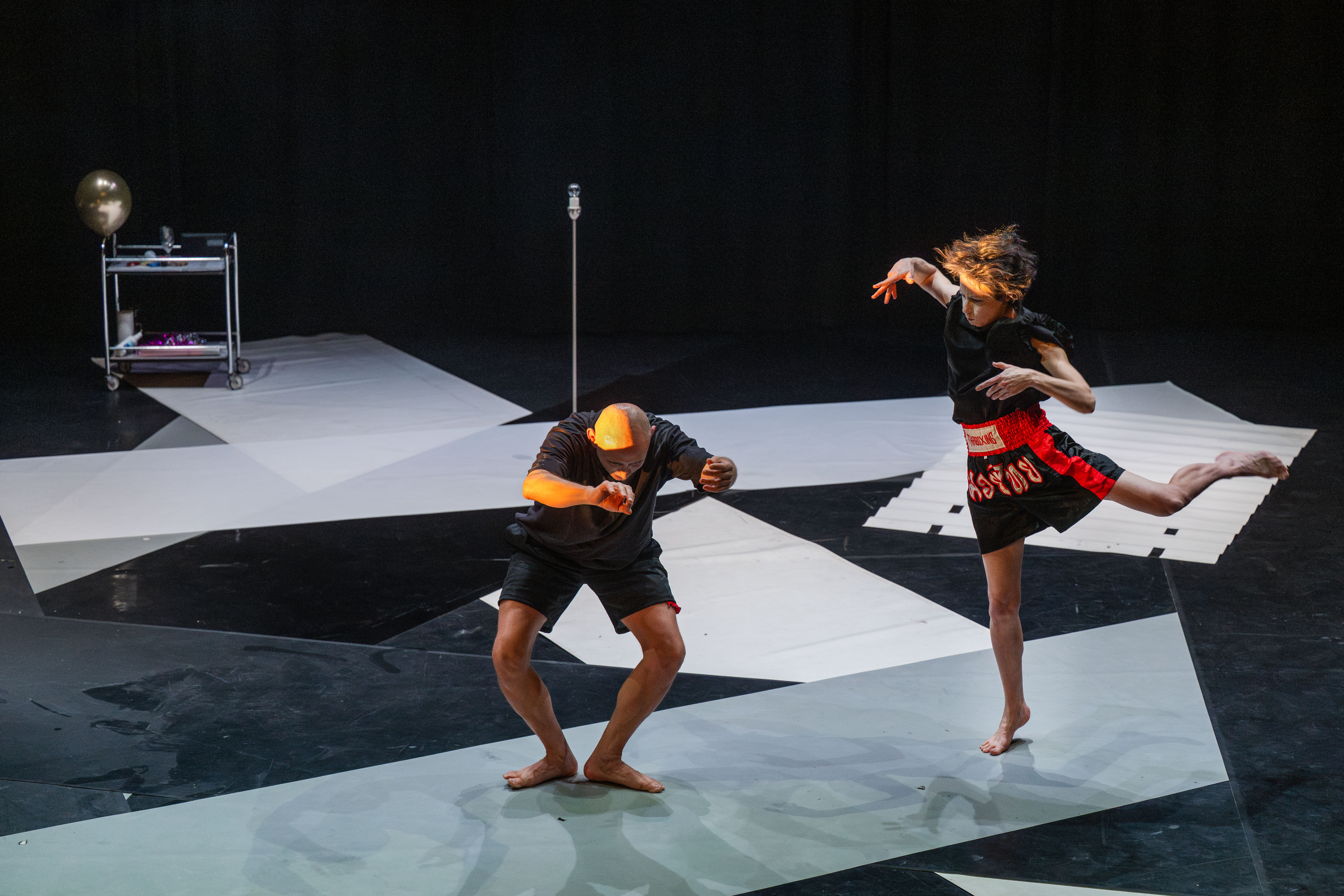 LTFMS_(c)_Fred Debrock_2.jpg