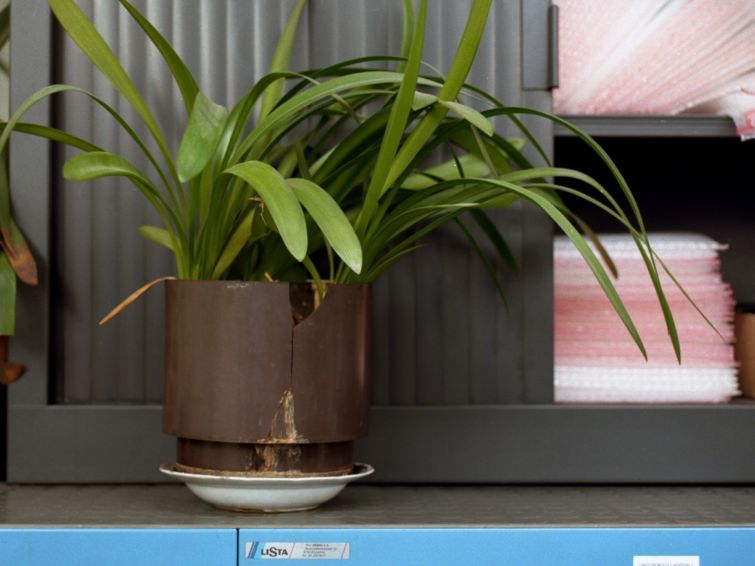 Visite guidée / WORK